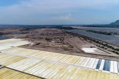 Ảnh minh họa. (Nguồn: Vietnam+)