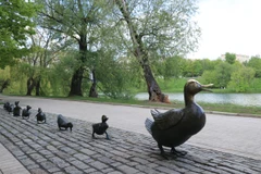 Đàn vịt được đúc bằng đồng (gồm 9 con), trong đó vịt mẹ lớn nhất có trọng lượng lên tới 1 tấn được đặt tại Công viên tu viện Novodevichy ở Thủ đô Moskva. (Ảnh: Hùng Võ/Vietnam+)