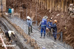 Ảnh minh họa. (Nguồn: Vietnam+)