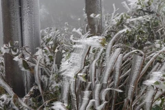 Ảnh minh họa. (Nguồn: TTXVN)