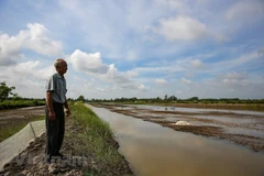 Ảnh minh họa. (Nguồn: Vietnam+)