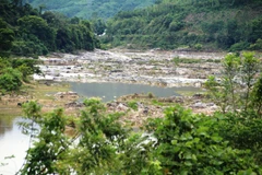 Ảnh minh họa. (Nguồn: Vietnam+)