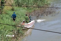 Ảnh minh họa. (Nguồn: TTXVN)