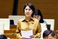 Đại biểu Quốc hội thành phố Hà Nội Trần Thị Nhị Hà phát biểu ý kiến. (Ảnh: Doãn Tấn/TTXVN)