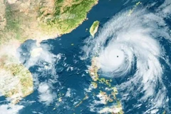 Cá nhân vi phạm quy định về dự báo, cảnh báo khí tượng thủy văn bị phạt tới 50 triệu đồng.