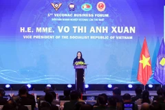 Phó Chủ tịch nước Võ Thị Ánh Xuân phát biểu tại Diễn đàn Doanh nghiệp Cựu chiến binh ASEAN lần thứ nhất. (Ảnh: An Đăng/TTXVN)