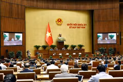 Quang cảnh phiên họp. (Ảnh: Doãn Tấn/TTXVN)