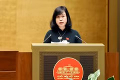 Bộ trưởng Bộ Y tế Đào Hồng Lan trình bày Tờ trình về dự án Luật sửa đổi, bổ sung một số điều của Luật Bảo hiểm y tế. (Ảnh: Doãn Tấn/TTXVN)