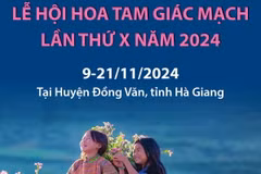 Lễ hội hoa tam giác mạch lần thứ X năm 2024