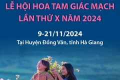 Lễ hội hoa tam giác mạch lần thứ X năm 2024