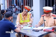 Ảnh minh họa. (Nguồn: TTXVN)