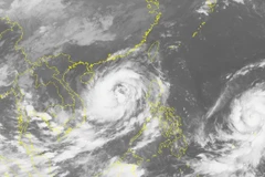 (Nguồn: nchmf.gov.vn)