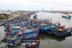 (Ảnh minh họa: Trần Lê Lâm/TTXVN)