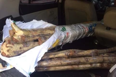 Bắt giữ vụ vận chuyển 60kg gỗ sưa đỏ giả dạng là đồ nội thất