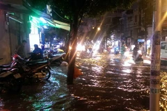 (Ảnh minh họa: Mạnh Linh/TTXVN)