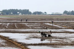 (Ảnh minh họa: Công Mạo/TTXVN)