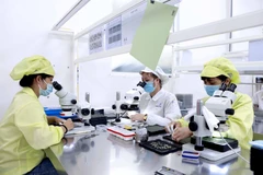 Chuyên gia: Cần tái định vị nền kinh tế để tăng giá trị xuất khẩu