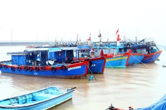 Hiện tỉnh Quảng Bình có 1.124 tàu cá từ 15m trở lên đang hoạt động lắp đặt thiết bị giám sát hành trình tàu cá (đạt 96,2%). (Ảnh: Tá Chuyên/TTXVN)