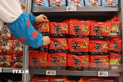 Ảnh minh họa. (Nguồn: TTXVN)