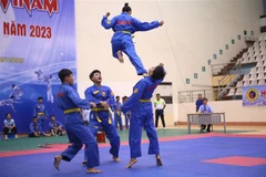 Vovinam - Việt Võ Đạo được công nhận là Di sản Văn hóa Phi vật thể Quốc gia.. (Ảnh: Công Luật/TTXVN)