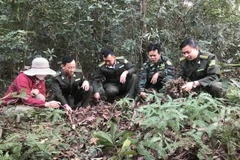 Các cán bộ kiểm lâm và chủ rừng kiểm tra lớp thực bì quanh khu vực đền Cao An Phụ, thị xã Kinh Môn. (Ảnh: Tiến Vĩnh/TTXVN)