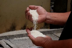 Indonesia nhập khẩu 1 triệu tấn gạo từ Thái Lan, Việt Nam, Pakistan và Myanmar. (Ảnh: Hồng Đạt/TTXVN)