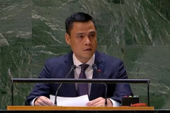 Đại sứ Đặng Hoàng Giang, Trưởng Phái đoàn thường trực Việt Nam tại Liên hợp quốc, phát biểu tại một phiên họp của Đại hội đồng Liên hợp quốc. (Ảnh: TTXVN phát)