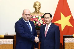 Bộ trưởng Ngoại giao Bùi Thanh Sơn tiếp Thứ trưởng Ngoại giao Gruzia Alexander Khvtiashvili. (Ảnh: Lâm Khánh/TTXVN)