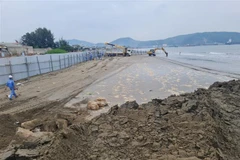 Công ty TNHH Long Sơn thi công các hạng mục bến số 3. (Ảnh: TTXVN phát) 