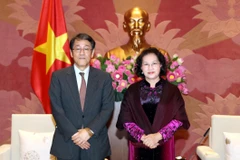 Chủ tịch Quốc hội Nguyễn Thị Kim Ngân tiếp Đại sứ Đặc mệnh toàn quyền Nhật Bản tại Việt Nam Umeda Kunio đến chào từ biệt nhân dịp kết thúc nhiệm kỳ công tác. (Ảnh: Trọng Đức/TTXVN)
