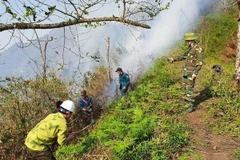 Lực lượng chức năng phát đường băng cản lửa, áp dụng các biện pháp đốt trước và chữa cháy trực tiếp. (Ảnh: TTXVN phát)