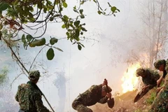 Cán bộ chiến sỹ và người dân tham gia dập lửa, cứu rừng. (Ảnh: Công Mạo/TTXVN)