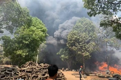 Lực lượng phòng cháy chữa cháy tỉnh Bình Dương đang nỗ lực khống chế không cho cháy lan. (Ảnh: Nguyễn Văn Việt/TTXVN)