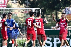 12 đội bóng sẽ tham dự giải Hạng Nhất “phủi” 2017. (Ảnh: Minh Chiến/Vietnam+)