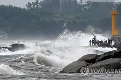 Động đất xảy ra ở vùng biển cách thành phố Donghae (tỉnh Gangwon) 52km về phía Đông Bắc. (Nguồn: Yonhap)