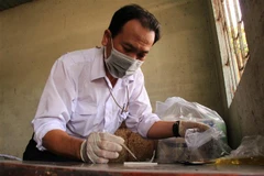 Cán bộ Thú y thực hiện quy trình kiểm tra chất cấm tại các cơ sở giết mổ. Ảnh minh họa. (Ảnh: Hồng Thái/TTXVN)