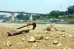 Mực nước sông Lô xuống thấp chưa từng có trong nhiều năm qua. (Ảnh: Quang Cường/TTXVN)