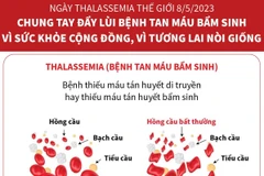 Đẩy lùi bệnh tan máu bẩm sinh vì sức khỏe cộng đồng và nòi giống
