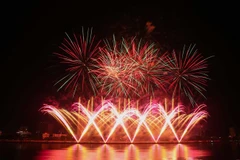Một màn trình diễn pháo hoa tại Lễ hội pháo hoa Quốc tế Đà Nẵng 2019. (Ảnh: Trần Lê Lâm/TTXVN)