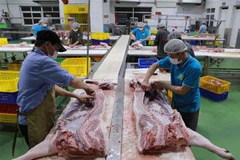 Sơ chế thịt lợn để cung cấp ra thị trường tại nhà máy của Công ty thực phẩm Vinh Anh. (Ảnh: Vũ Sinh/TTXVN)