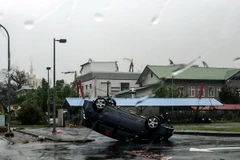 Cảnh đổ nát do bão Nepartak tại Đài Trung, Đài Loan (Trung Quốc) ngày 8/7. (Nguồn: EPA/TTXVN)