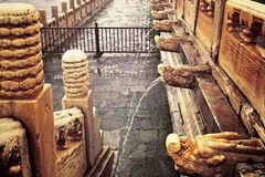 Hiệu ứng "rồng phun nước" tuyệt vời. (Nguồn: shanghaiist.com)