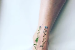 Một bông hoa dại nhỏ xíu không ai để ý khi ở ngoài tự nhiên lại trở nên đẹp lạ thường. (Nguồn: Sputnik)