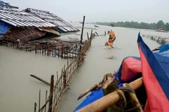Ảnh minh họa. (Nguồn: AFP/TTXVN)