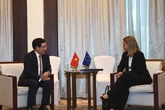 Phó Thủ tướng, Bộ trưởng Ngoại giao tiếp Đại diện cấp cao EU