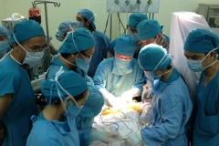 Ảnh minh họa. (Nguồn: TTXVN phát)