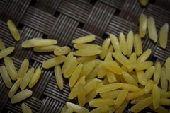 Viện nghiên cứu Lúa gạo Quốc tế (IRRI) vừa giới thiệu loại gạo biến đổi gen mới "gạo vàng". (Nguồn: AFP/TTXVN)