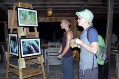 (Ảnh minh họa: Lê Sen/TTXVN)