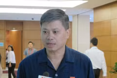 Đại biểu Nguyễn Sỹ Cương, Ủy viên Thường trực Uỷ ban Đối ngoại của Quốc hội. (Ảnh: Đức Duy/Vietnam+)