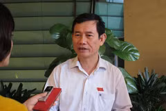 Đại biểu Nguyễn Ngọc Phương đoàn Quảng Bình. (Ảnh: Đức Duy/Vietnam+)